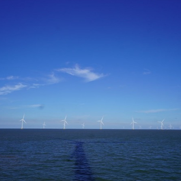 Vietnam, gateway for SK Group’s global renewable energy push 썸네일 이미지